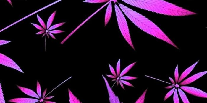 720x1280 Pink Weed Wallpapers - Top Free Pink Weed Backgrounds - WallpaperAccess