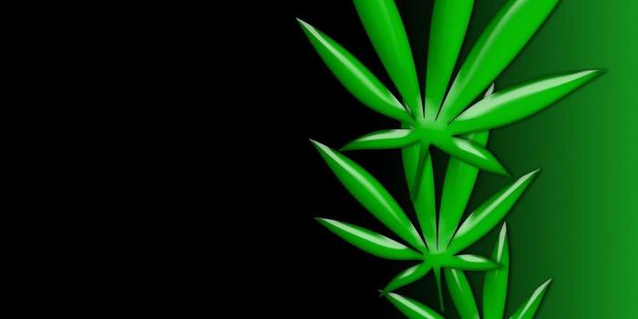 1440x1280 21+ Weed Wallpapers, Backgrounds, Images | FreeCreatives