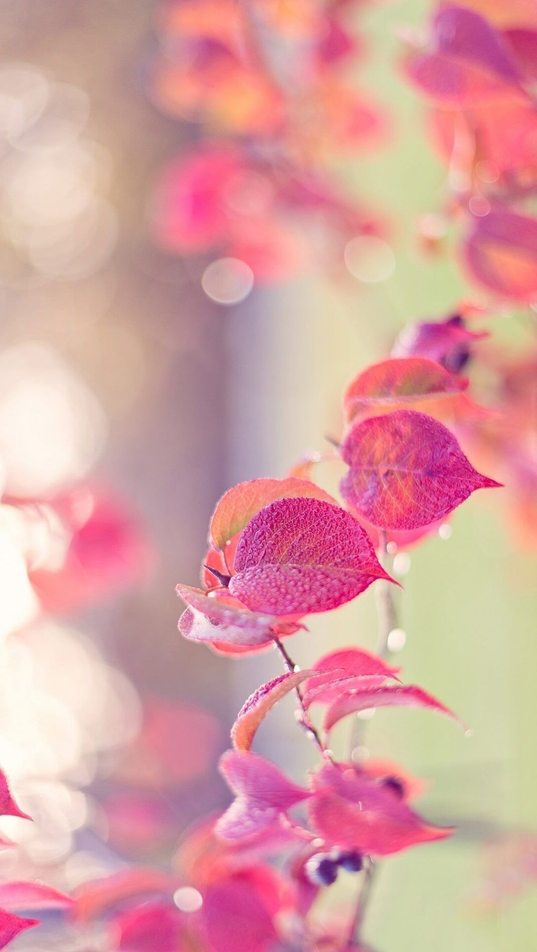 1080x1912 Photos: Cool Girly Wallpapers, - Drawings Art Gallery