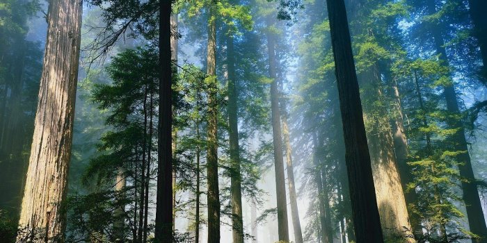 1600x1200 65+ Northern California Wallpapers - Download at WallpaperBro