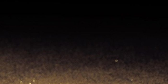 744x1216 Gold And Black Wallpapers