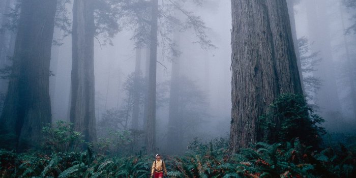 1680x1050 California Adventure HD desktop wallpaper Widescreen High