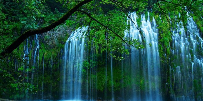 1332x850 Wallpaper greens, trees, nature, waterfall, USA, Shasta Retreat