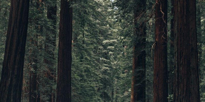 1242x2208 California iPhone Wallpaper (50+ images)