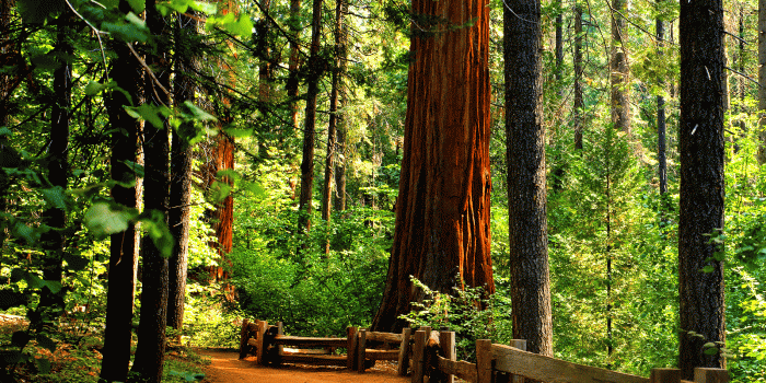 1600x1200 Image result for northern california wallpaper | GOD I LOVE WHERE I