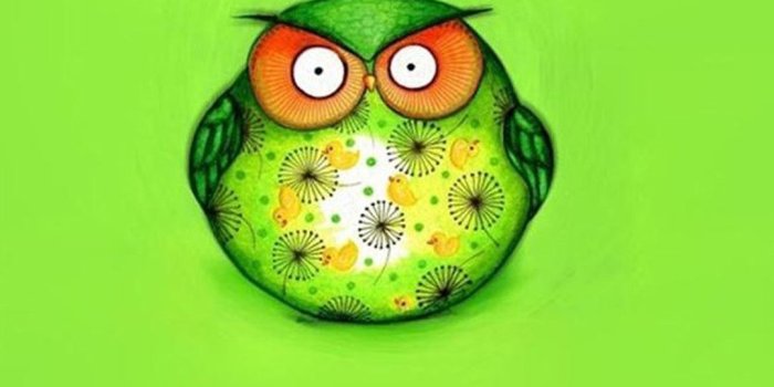 1080x1920 Cute Green Wallpapers - Top Free Cute Green Backgrounds