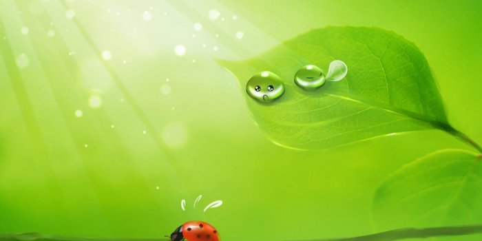 1920x1080 Cute Green Desktop Wallpapers