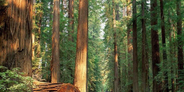 1600x1200 California Vacation Wallpapers - Top Free California Vacation