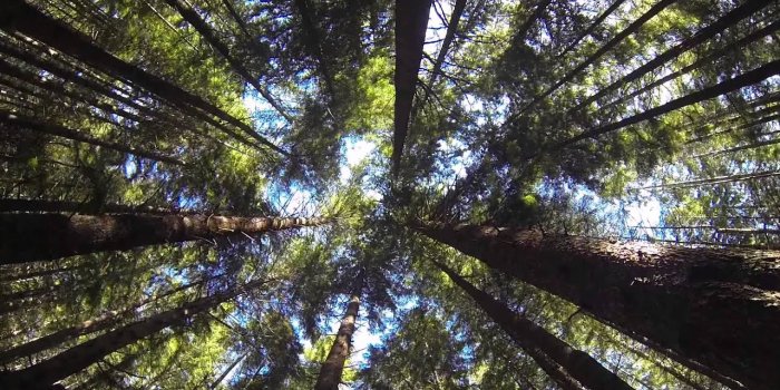 1280x720 Northern Cali Wallpaper #K177678 Picserio.com - Picserio.com