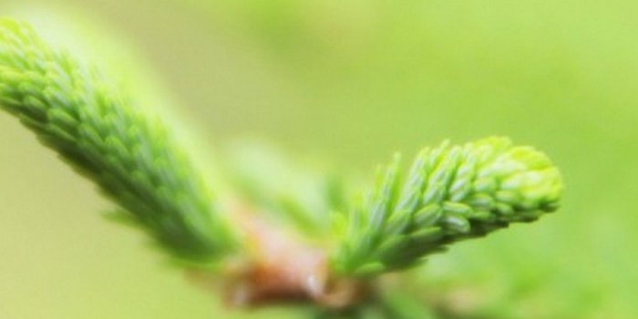 1080x1920 Wallpaper iPhone Cute Green | 2019 3D iPhone Wallpaper