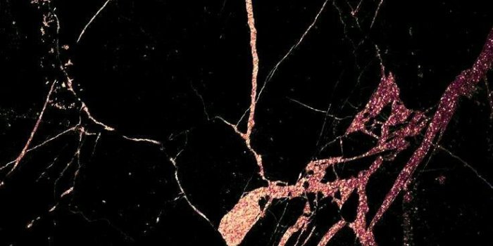 736x1389 Black And Gold Marble Wallpapers