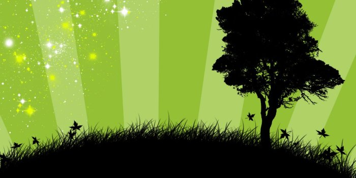 1280x1024 Green Wallpaper | HD Wallpapers Pulse