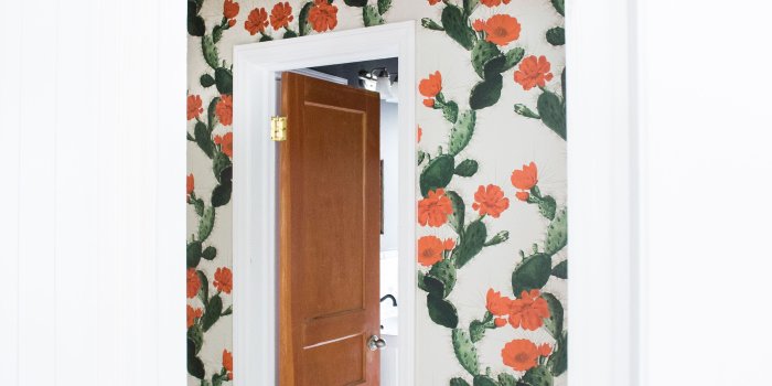 3648x5472 Perfect Cactus Wallpaper in the Hallway - Live Free Creative Co