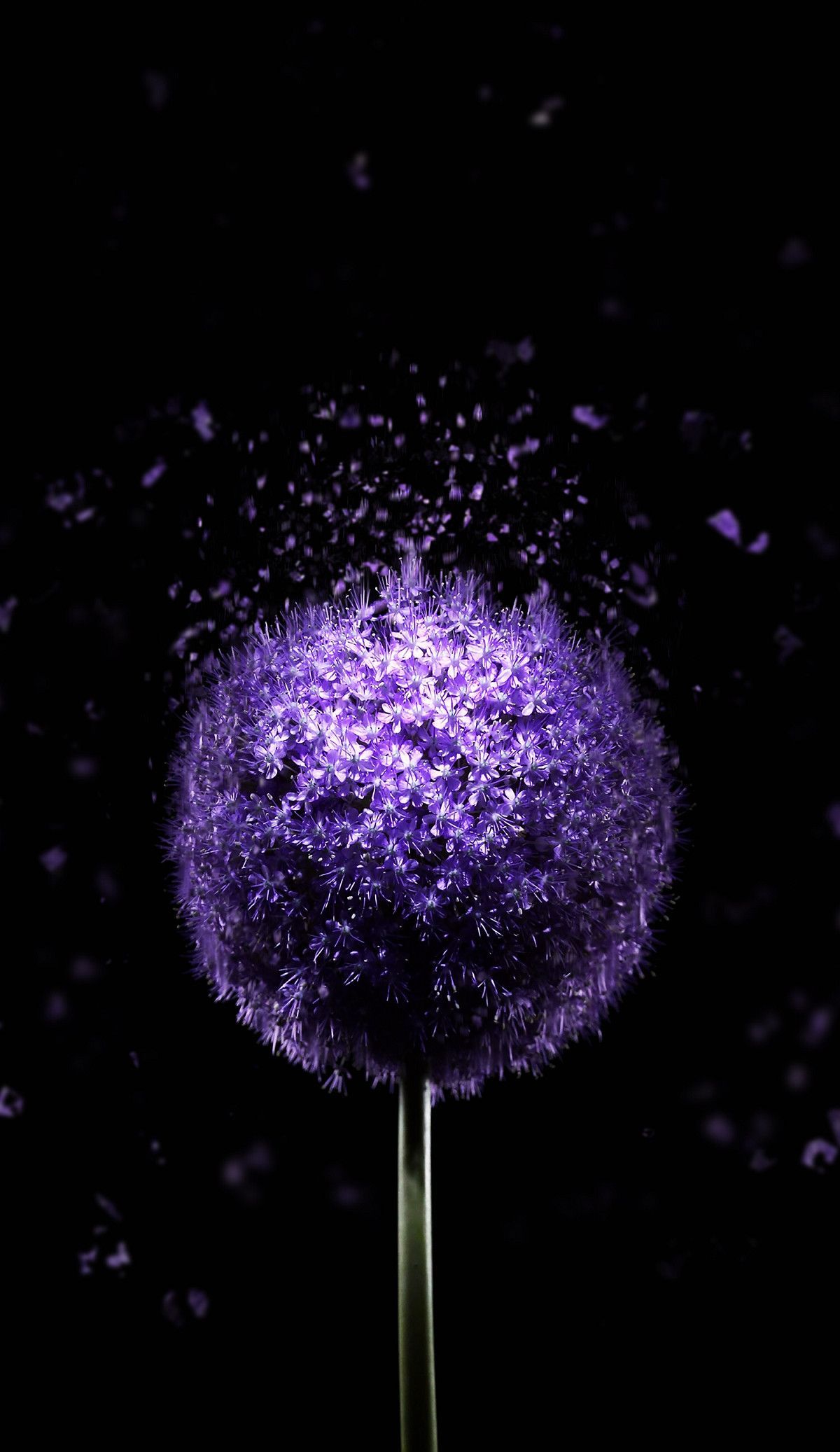1200x2074 1200x2074 Violet Flower 4K AMOLED Wallpaper | Amoled in 2019