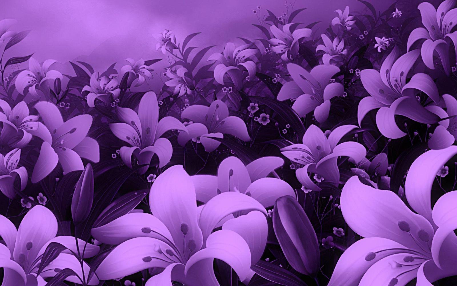 1920x1200 Violet Rose Wallpapers