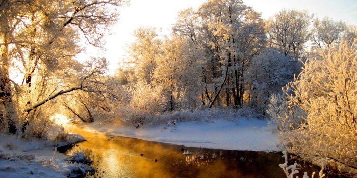 1920x1080 Nature Wallpaper - Nature Wallpaper Winter (#798004) - HD Wallpaper