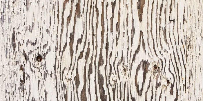 1000x1333 Weathered Pictures | Download Free Images on Unsplash