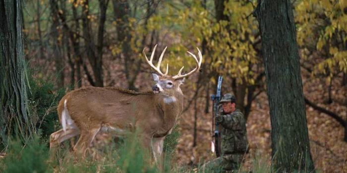 1024x768 Bow Hunting Wallpapers