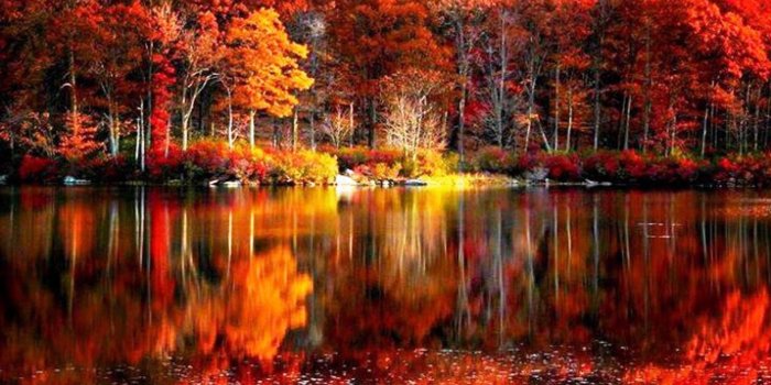 1920x1200 64+ Fall Scenery Wallpapers on WallpaperPlay