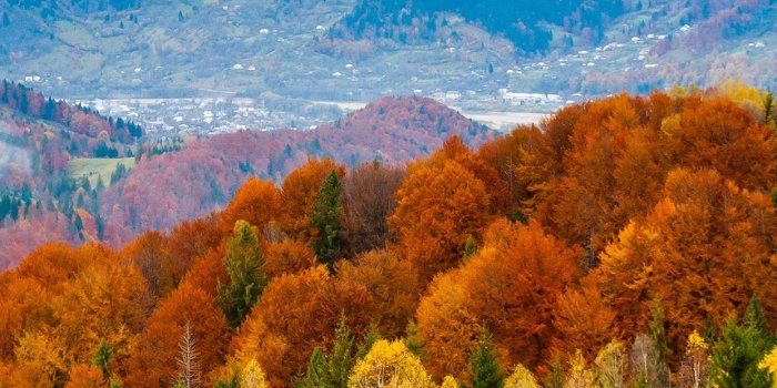 1242x2208 28 Breath-Taking and Most Beautiful Fall Wallpaper for Your iPhone