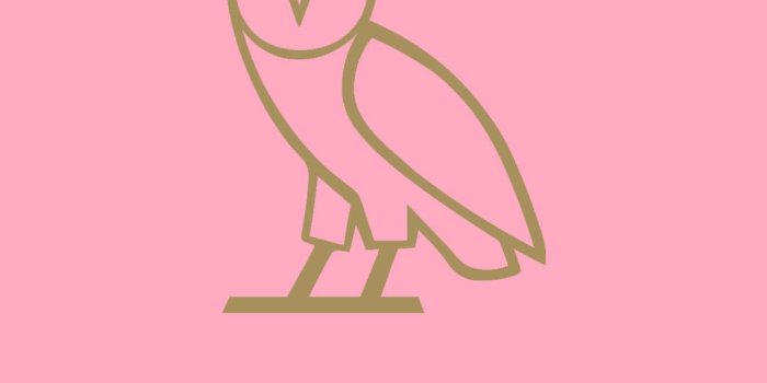 1080x1920 77+ Drake Ovo Wallpapers on WallpaperPlay