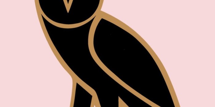 1080x1920 Drake Wallpaper Inspirational Drake Hotline Bling Ficial - Drake Owl