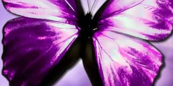1080x1920 Purple Butterfly Wallpaper For Android - 2019 Android Wallpapers