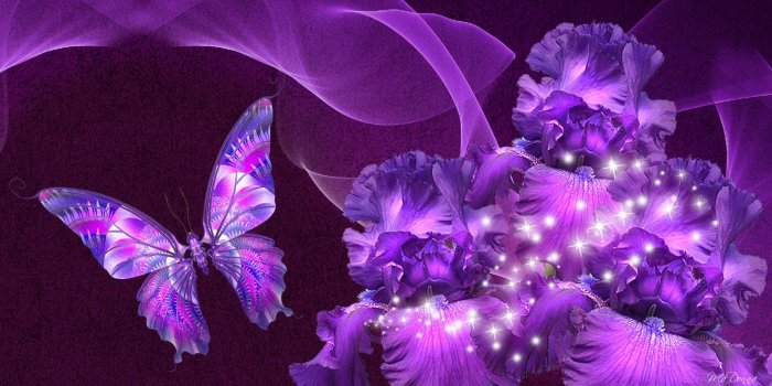 1920x1080 45+ Purple Butterfly and Flower Wallpapers - Download at WallpaperBro
