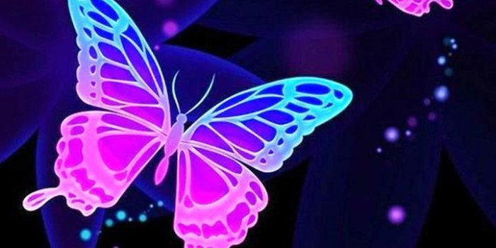 720x1280 Floating Purple Butterfly Wallpapers - Top Free Floating Purple