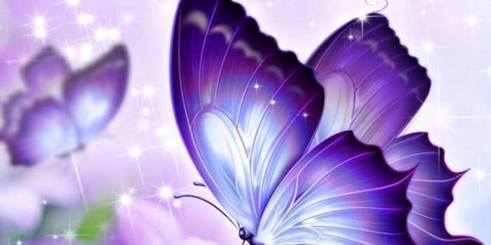 750x1541 Wallpaper...By Artist Unknown... | ~Butterflies~ | Butterfly