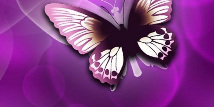 1080x1920 Android Wallpaper Purple Butterfly - 2019 Android Wallpapers