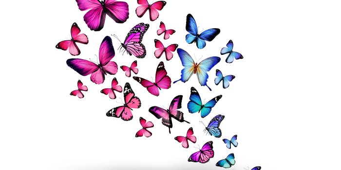 5120x2880 Pollinator, Purple, Butterfly, Design, Moths and Butterflies 5K