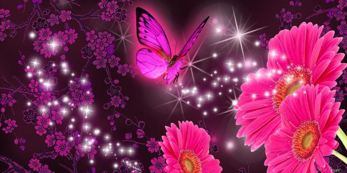 1920x1080 Pink Gerberas and Purple Butterfly HD Wallpaper | Background Image