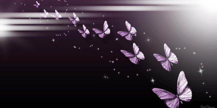 1920x1080 Purple Butterfly Parade HD desktop wallpaper : Widescreen : High