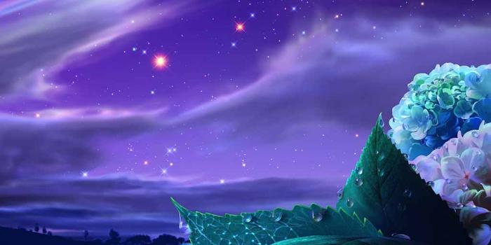 1024x768 Bape iPhone Wallpaper WallpaperSafari