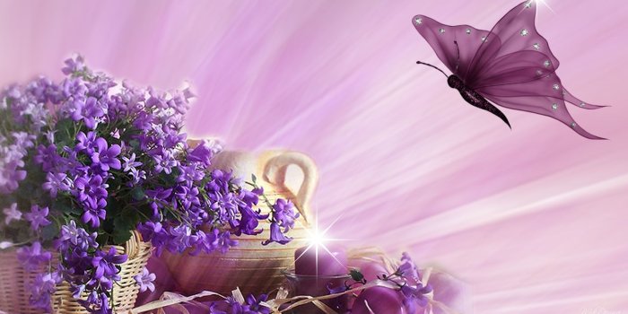 1920x1080 Purple Butterfly Flying HD Wallpaper, Background Images