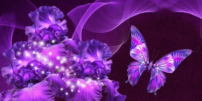 1920x1080 75+ Purple Butterflies Wallpapers on WallpaperPlay