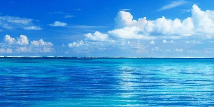 744x1392 Beach Wallpaper iphone HD | Beach in 2019 | Beach wallpaper, Beach