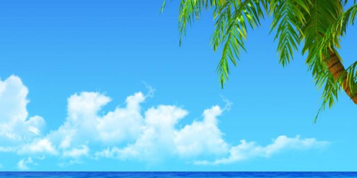 1080x1920 72+ Beach Hd Wallpapers on WallpaperPlay