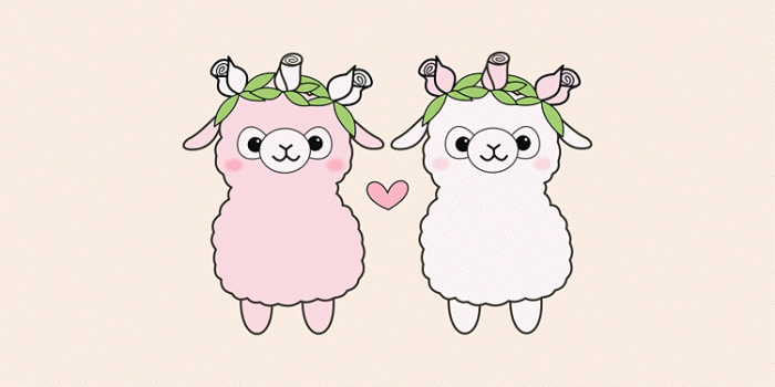 750x1334 Cute Llama Wallpaper (52+), Download 4K Wallpapers For Free