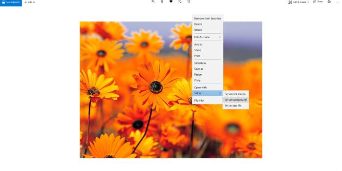 1920x1049 How Do I Change the Wallpaper on My Computer or Phone?