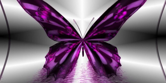 1920x1080 Desktop Wallpaper Purple Butterfly | 2019 Cute Wallpapers
