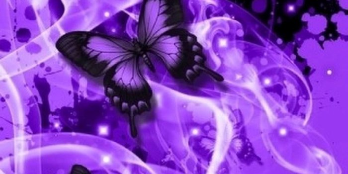 2000x1500 0643 - purple butterflies wallpaper | woodenboxlwp