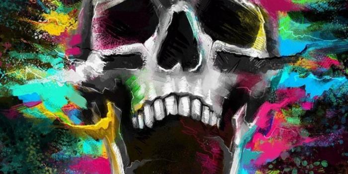 787x1400 Growl Shouting Skull Colorful Whatsapp Wallpaper #Whatsapp