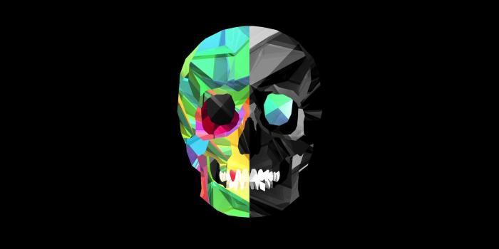 1920x1080 73+ Abstract Skull Wallpapers on WallpaperPlay