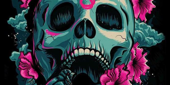 1080x1920 63+ Pink Skull Wallpapers on WallpaperPlay