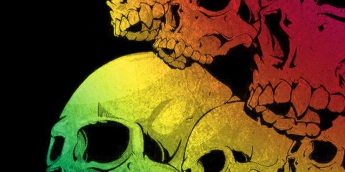 744x1392 Colorful Skull Wallpaper ,free download, (61) - cerc-ug.org