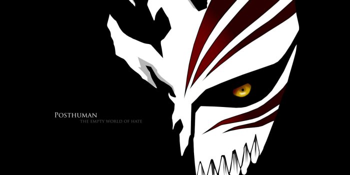 1600x1200 Bleach Wallpapers Ichigo Hollow Mask
