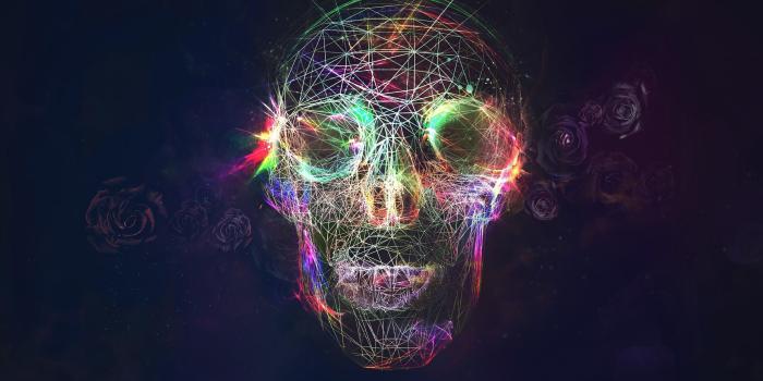 2560x1440 4540091 #rose, #skull, #colorful, wallpaper | General wallpapers and