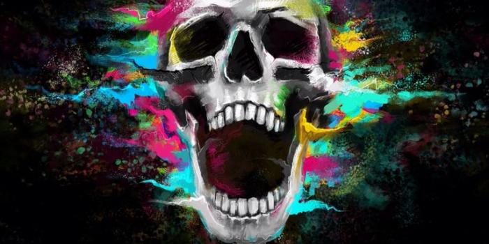 768x1136 573,55 Kb - IPhone Skull Wallpapers